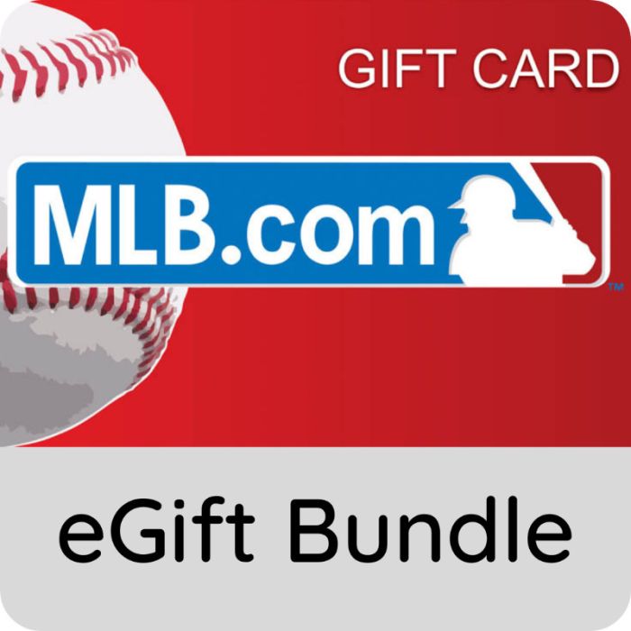 $100.00 MLB Shop eGift Card Bundle