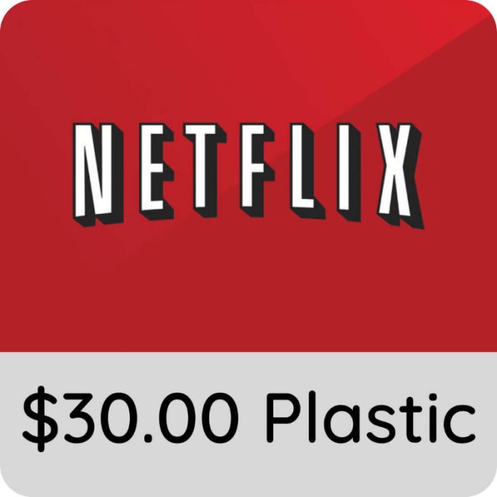 $30.00 Netflix Gift Card